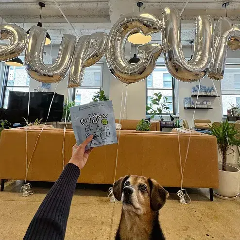 Spot & Tango team member 5